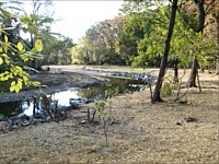 Tacony Creek